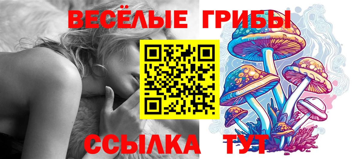 Геленджик  хочу   Вход с VPN  Псилоцибиновые грибы мицелий 